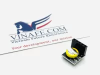 Module Thời Gian Thực DS3231 Cho Raspberry P